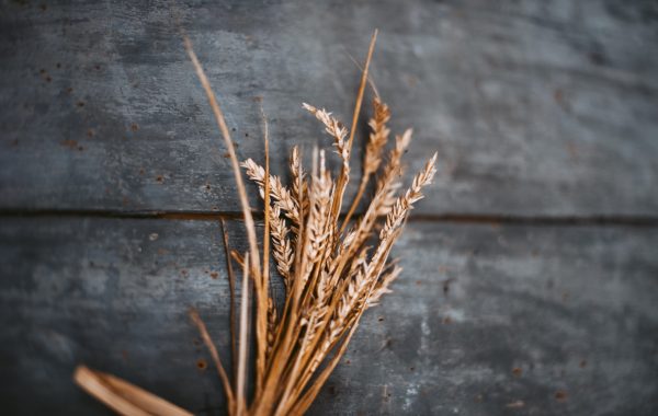 gaelle-marcel-jk_37n_UdvM-unsplash